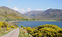 Photo looking down the road to Arnisdale