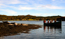 Dunvegan Seal Trips