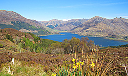 View from Mam Ratagan Pass